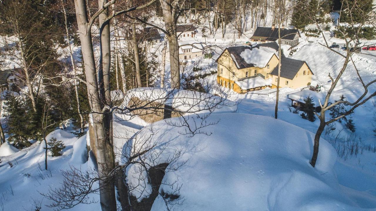 Pension Pod Vlekem Janov nad Nisou Exterior foto