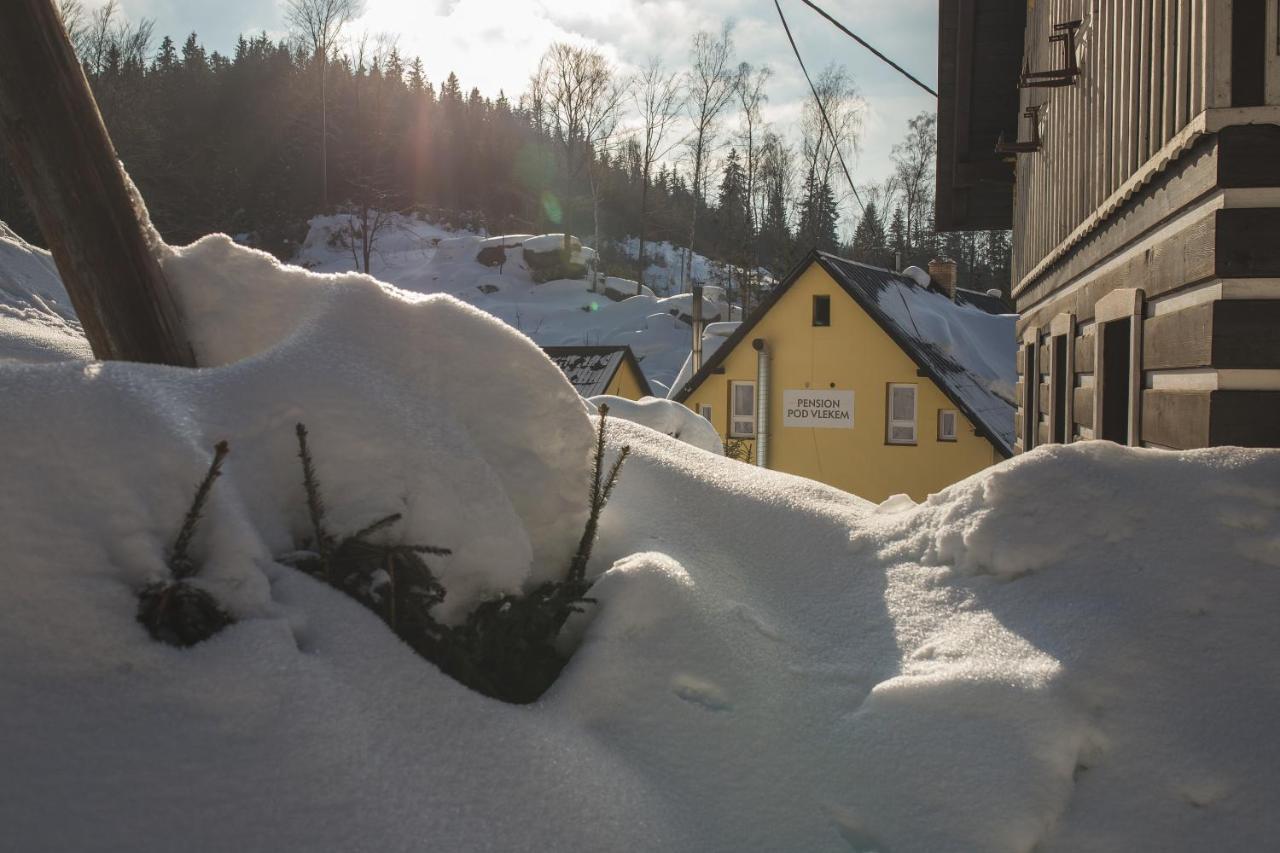 Pension Pod Vlekem Janov nad Nisou Exterior foto