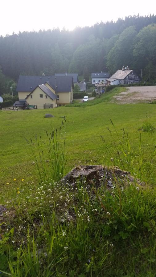 Pension Pod Vlekem Janov nad Nisou Exterior foto